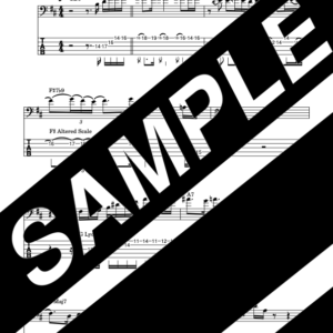 Example of Bass Solo ♯16 (Spain )